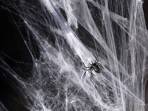 spindelvæv Halloween