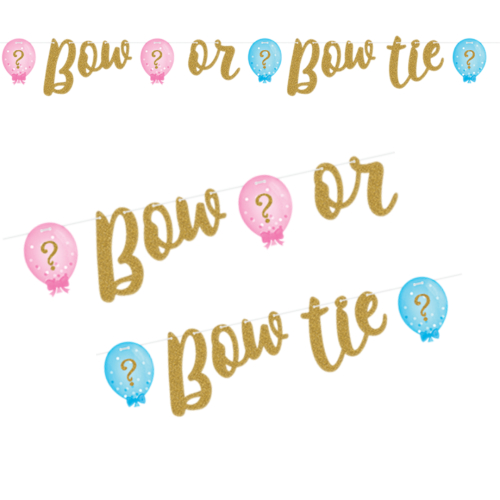 banner guirlande babyshower gender reveal