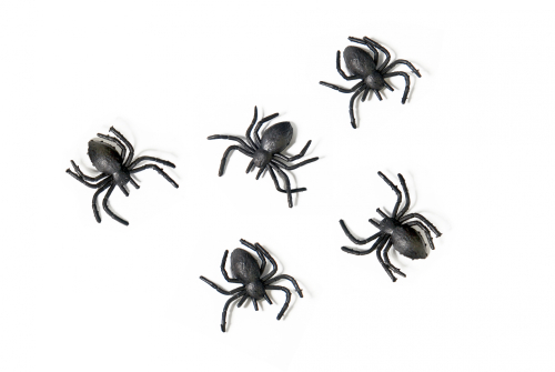 Halloween pynt edderkopper
