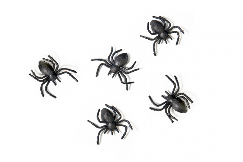 Billede af Halloween pynt, sorte edderkopper - 10 stk.